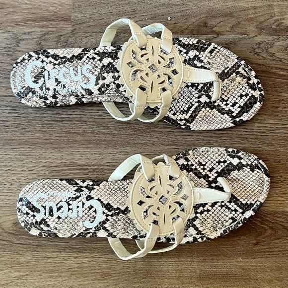 Circus by Sam Edelman Cherri Medallion Flat Sandals Snake Print Taupe Black SZ 8 - Picture 1 of 6